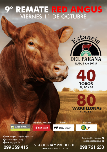 9° Remate Anual Red Angus, DEL PARANA 