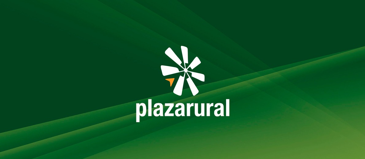 306º Plaza Rural