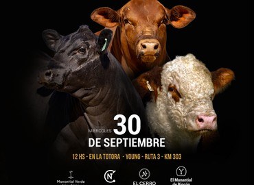 Portada del remate