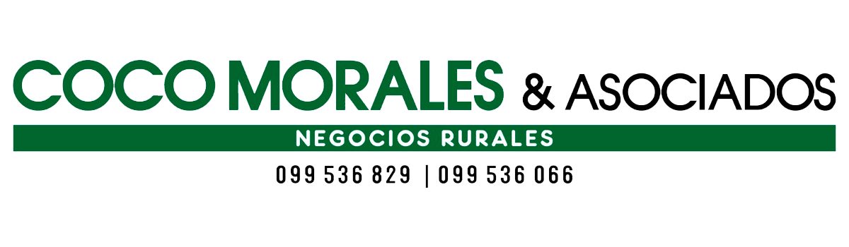 COCO MORALES & ASOCIADOS