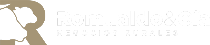 ROMUALDO & CíA.